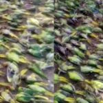 images (1)